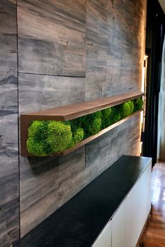 a wall mounted shelf with moss growing on it's sides in a modern kitchen