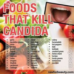 Candida Recipes, Candida Diet Recipes, Candida Cleanse, Endocannabinoid System, Stomach Ulcers, Anti Dieting, Candida Diet, Fitness Video