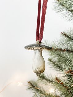 a glass ornament hanging from a christmas tree