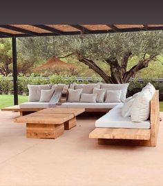 a couch and coffee table on a patio under a shade structure with an olive tree in the background