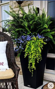 a chair sitting next to a large potted plant on a porch with a pillow