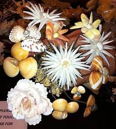 a vase filled with flowers and shells on top of a wooden table next to a sign