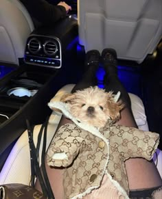 a small dog is sitting in the back seat of a car wearing a coat and boots