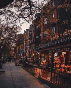 the sidewalk is lined with shops on both sides and trees in blooming red leaves