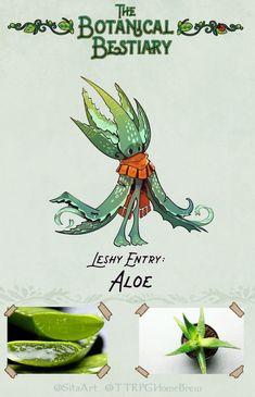 an advertisement for the botanical beauty company with aloe and its product description on it