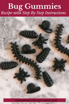 black bug gummies recipe with step by step instructions on how to make them in the snow