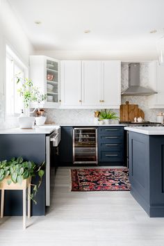 a kitchen with white and blue cabinets, an area rug and potted plants on the counter