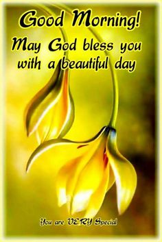 a yellow flower with the words good morning may god bless you with a beautiful day