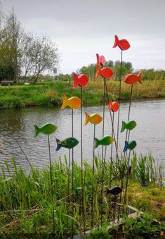 several colorful fish sculptures are in the grass by a pond with water and trees behind them