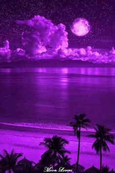 the night sky is lit up with purple hues and palm trees on the beach