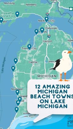 a seagull sitting on top of a sign that says amazing michigan beach towns on lake michigan