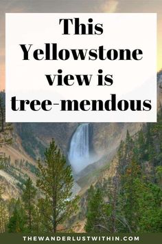 the yellowstone view is tree - mendous with text overlay that reads, this yellowstone view is tree - mendouous