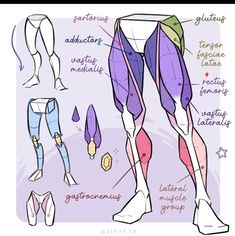 an image of the legs and feet with different types of leg muscles on it, including one