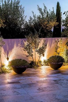 Mediterranean garden with soft, ambient lighting that enhances evening beauty. Mediterranean Lighting, Courtyard Garden Ideas, Garden Border Ideas, Patio Garden Ideas, Garden Lighting Ideas, Mediterranean Courtyard, Garden Ideas Uk