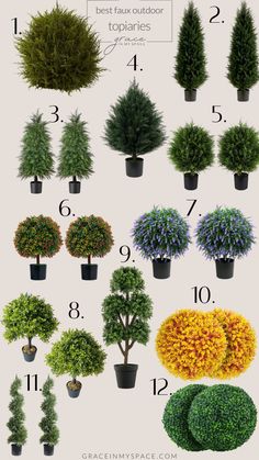 different types of trees and shrubs are shown in this graphic diagram, which shows the top ten