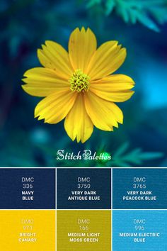 a yellow flower sitting on top of a blue and green background with the words stitch babies