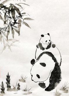 two pandas sitting on top of each other in the snow