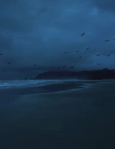 birds flying over the ocean at night on a cloudy day with dark clouds above it