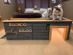 two dogs standing on top of a bed made out of pallet wood with the words eggnog igloo written on it