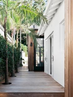 a wooden walkway between two buildings with palm trees on either side and doors to another building