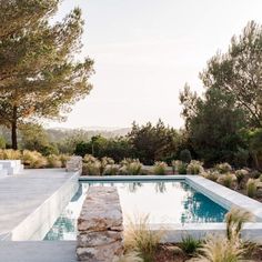 can domo ibiza Olive Trees Garden, Beach House Pool, Greece House, Spain Design, Mediterranean Garden, Olive Trees, Garden Pool, Olive Tree