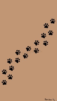 a dog's paw trail is shown in black