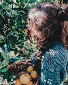 Orange Farmer Aesthetic, Orange Farm Aesthetic, Lime Aesthetic Vintage, Homestead Photography, Apple Harvest Aesthetic, Old Farm Astethic, Rural Aesthetic, Summer Camp Aesthetic, Orange Grove