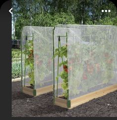 two greenhouses with plants growing inside of them in the middle of some dirt and trees