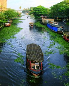 there are many boats on the water in this river that is full of green plants