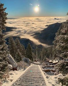 the sun shines brightly in the distance over snow covered mountains and pine trees on a sunny day