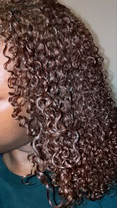 Coily Hair Dye Ideas, Hair Dye Colours Black Women Natural Hair, Dyed Coily Hair, Brown 4c Hair Dye, 4c Dyed Hair Natural Brown, Hair Goals Color, New Hair Look, Hair Projects