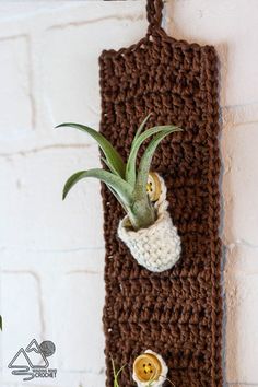 a crocheted wall hanging with an air plant and two buttons attached to it