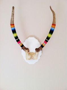 an animal's skull with multi - colored striped antlers mounted on a wall