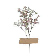 small pink and white flowers in a cardboard box with a tag on the bottom that says,