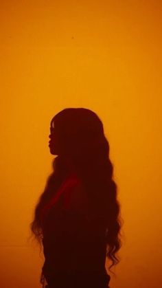 the silhouette of a woman with long hair