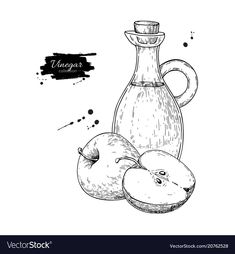 an apple and a bottle with vinegar hand drawn sketch on white background stock photo - premium royalty