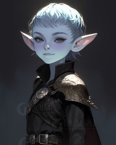 an elf with white hair and blue eyes is dressed up in black leather, while wearing silver