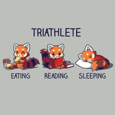 three red foxes reading books while sitting on the ground with their tails curled up and sleeping