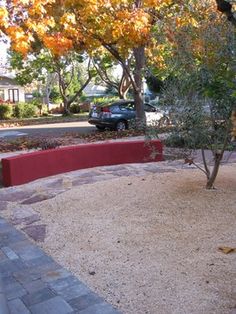 a small tree is in the middle of a garden area with gravel and brick edging