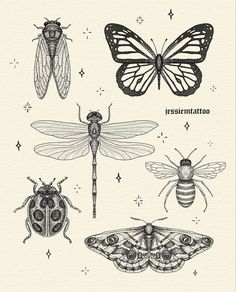 four different types of insects on a white background with the words restentatoo written below