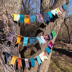 colorful flags are hanging from a tree in the woods