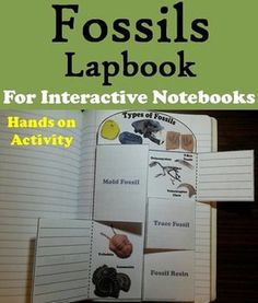 an open notebook with pictures of animals and plants on it, in front of the words fossils lapbook for interactive notebooks hands - on activity