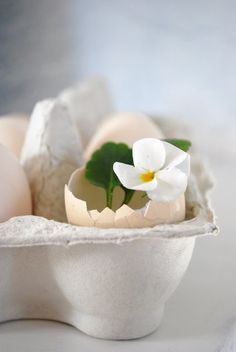 an egg shell with some flowers in it