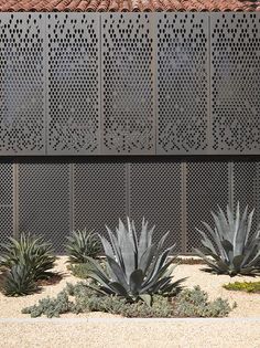 some plants are growing in front of a wall with latticed panels on it and an orange fire hydrant