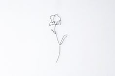 a line drawing of a single flower