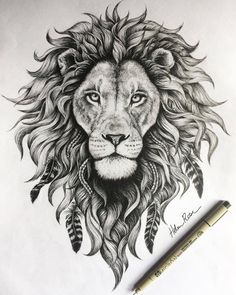 a drawing of a lion with feathers on it's head and the eyes are drawn in