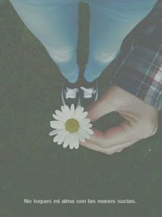 someone holding a flower in their hand with the words no toques al ama con las manos suchs