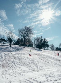 people skiing down a snowy hill with trees in the background and sun shining through clouds