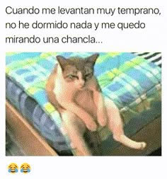 a cat sitting on top of a bed next to a wooden dresser with the caption in spanish