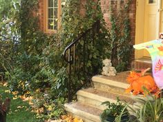 a teddy bear sitting on the steps in front of a house with ivy growing around it